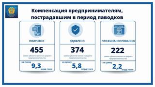 Одобрено 82,1% заявок предпринимателей на возмещение ущерба от паводков