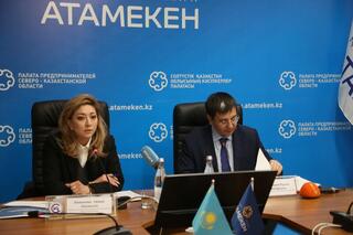 Первый вице-министр торговли и интеграции Айжан Бижанова провела встречу с населением Северо-Казахстанской области