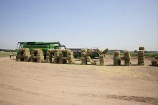 В Алматинской области прошёл День поля: обсудили развитие карбонового и органического земледелия