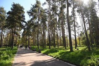 Свежий воздух для Алматы: новые меры по улучшению экологической ситуации