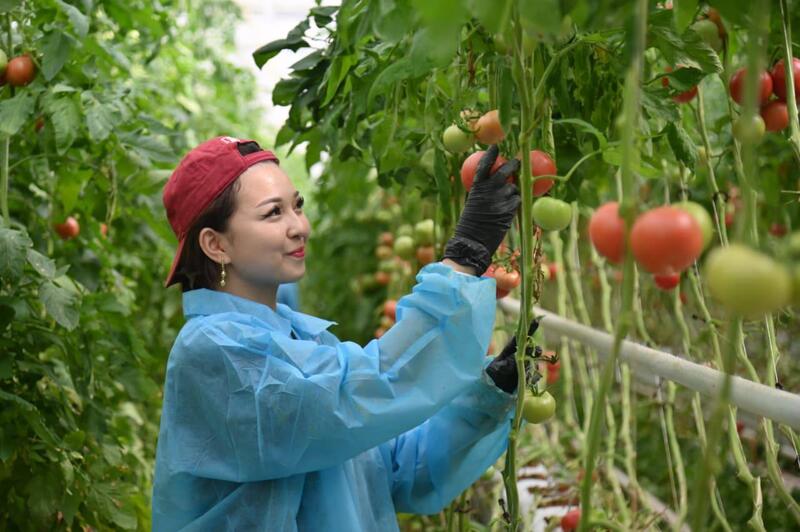Арман Шаккалиев: В Шымкенте из цепочки поставок исключены 47 непродуктивных посредников