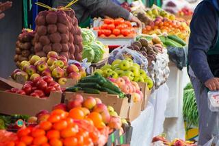 Более 650 тонн продукции представят аграрии Кызылординской и Актюбинской областей на ярмарке в Астане