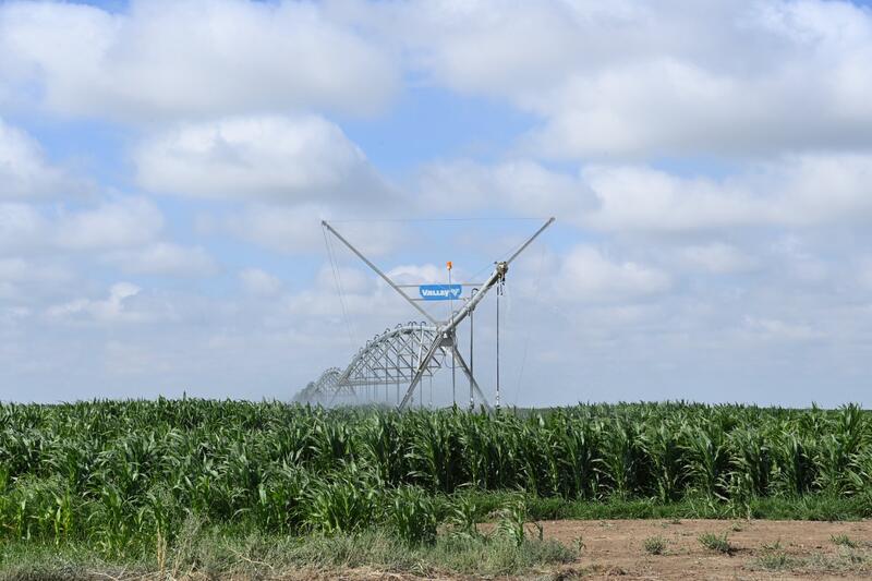 Заместитель Премьер-министра ознакомился с состоянием агросектора в Казалинском районе