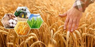 В аграрном секторе региона сохраняется положительная динамика