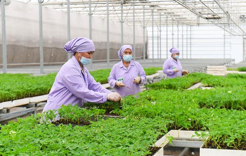 АПК Туркестанской области показывает высокие темпы развития