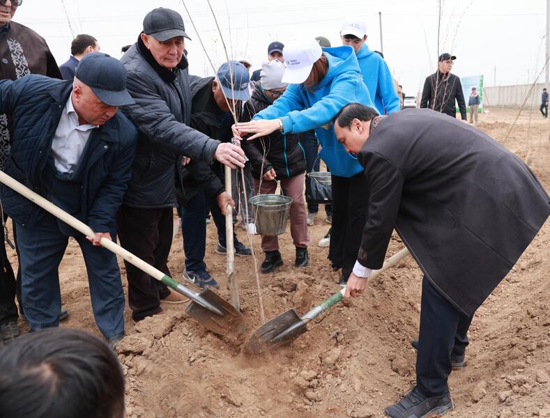Таза Қазақстан: в Таразе высажено 10 тысяч деревьев