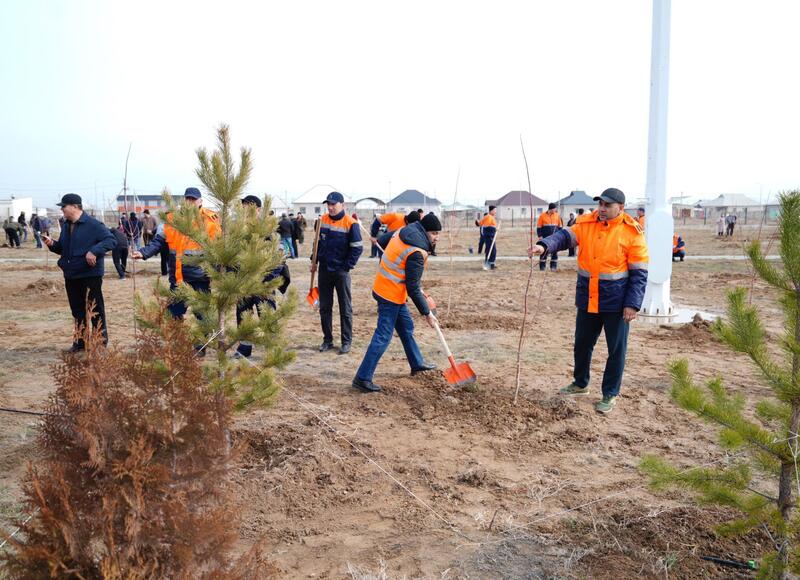 «ТАЗА КАЗАХСТАН»: В ПРОШЛОМ ГОДУ В ТУРКЕСТАНСКОЙ ОБЛАСТИ ВЫСАЖЕНО БОЛЕЕ 1 МЛН САЖЕНЦЕВ