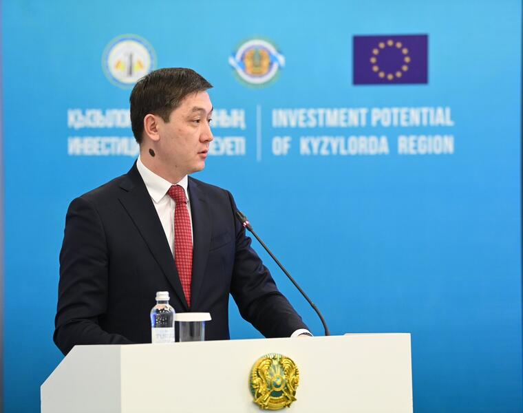 Обсужден инвестиционный потенциал Кызылординской области