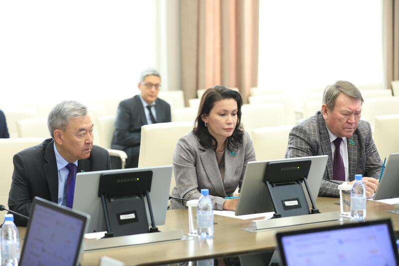 Аким области встретился с депутатами Сената Парламента