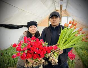 Житель Жетысу вырастил почти 30 тысяч голландских тюльпанов у себя во дворе