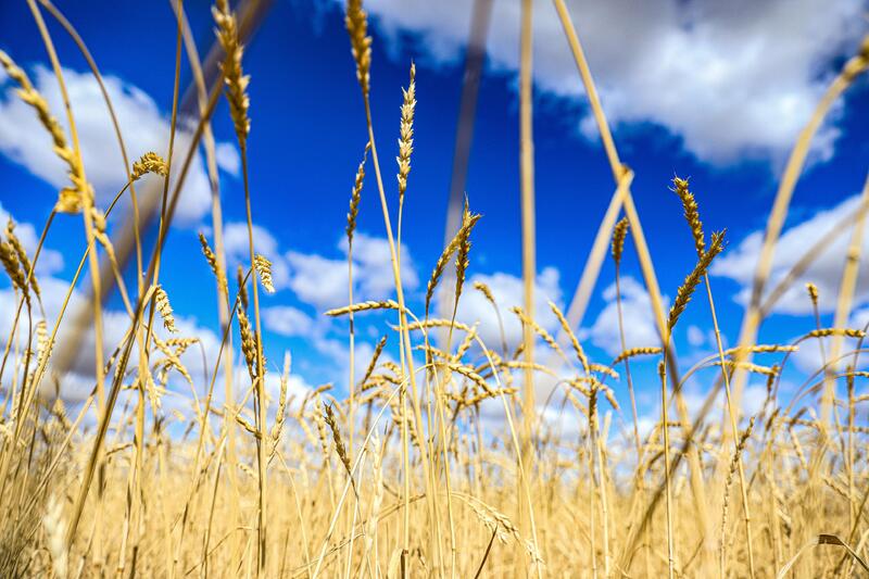 Глава региона Асхат Шахаров с рабочей поездкой находится в Айтекебийском районе