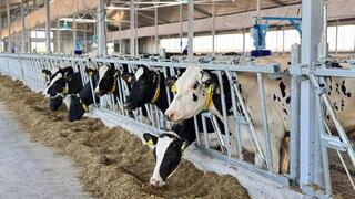 В Казахстане отмечен рост валовой продукции сельского хозяйства на 5,4%