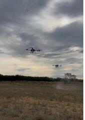 В Алматинской области продолжается кампания по борьбе с саранчой