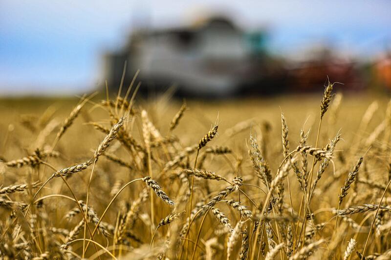 В Актюбинской области завершают весенне-полевые работы