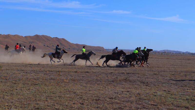 В Аркалыке стартовали национальные конноспортивные игры