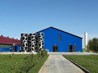 На современной молочной ферме в Актюбинской области планируется производить до 20 тысяч тонн молока в год