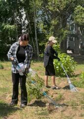 В Павлодарской области в рамках проекта «Volunteer PVL» проведено экологическое мероприятие «ЭКО прогулка»