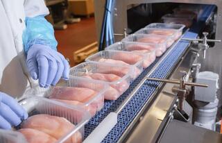 В области Жетісу откроется новое предприятие по переработке мяса птицы