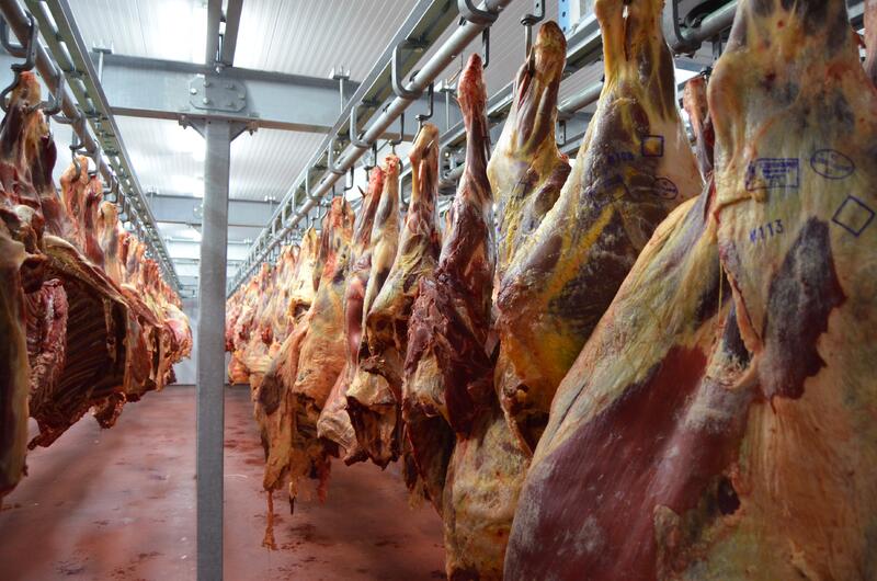 «Кублей» расширяет мясопереработку за счет развития животноводческого направления