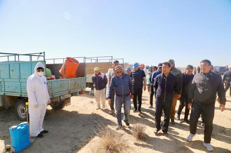 Министр сельского хозяйства в рамках рабочей поездки в Аральский район ознакомился с ходом работ по химической обработке против особо опасных вредителей
