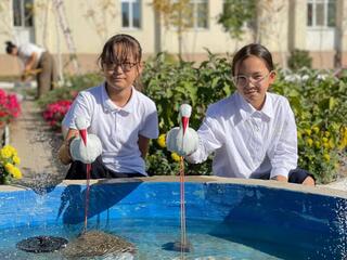 «Таза Қазақстан»: столичные школьники превратили школьный двор в зеленую лабораторию