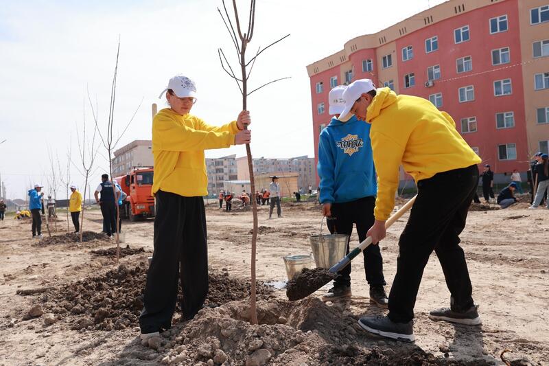 «Таза Қазақстан»: в Жамбылской области высадили свыше 9 тысяч деревьев