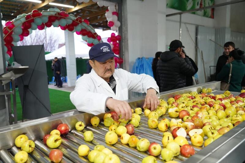 Завод по глубокой переработке фруктов и ягод запустили в Туркестанской области