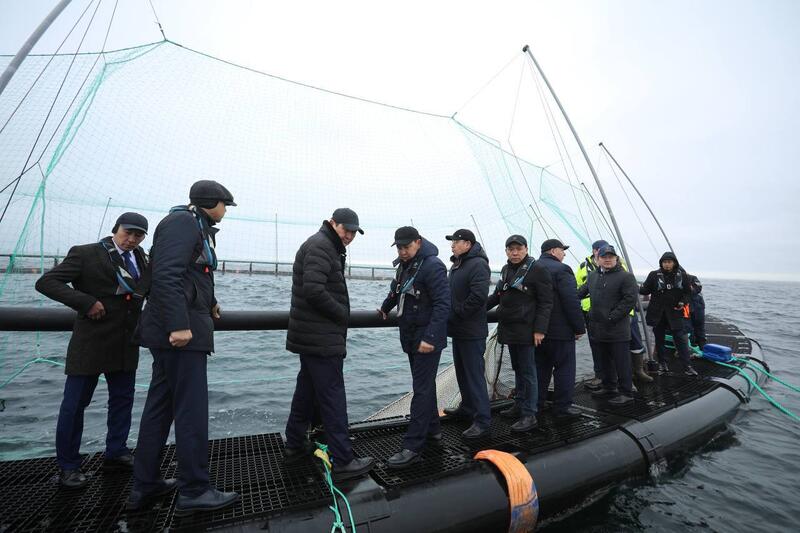 В Мангистау реализуется первый в Центральной Азии проект морской аквакультуры