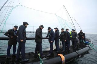 В Мангистау реализуется первый в Центральной Азии проект морской аквакультуры