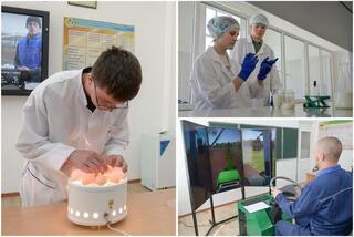 Год рабочих профессий: более 100 лет колледж СКО готовит кадры для агросферы