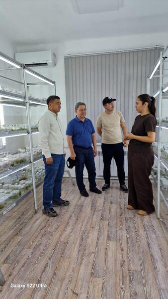 МСХ РК продолжает работу по возрождению легендарного сорта яблони «Апорт»