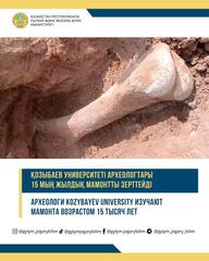 АРХЕОЛОГИ KOZYBAYEV UNIVERSITY ИЗУЧАЮТ МАМОНТА ВОЗРАСТОМ 15 ТЫСЯЧ ЛЕТ