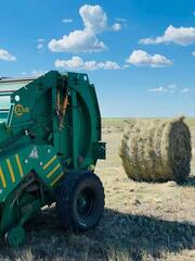 В Казахстане заготовлено 31,1 млн тонн кормов