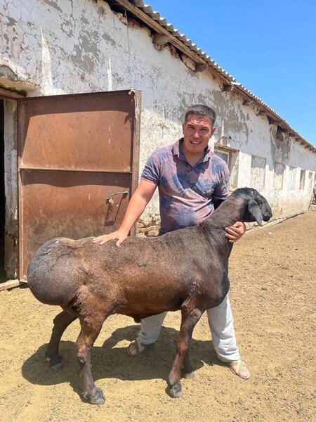 Дархан Станбеков — яркий пример современной сельской молодёжи, для которой труд на земле стал не только делом, но и призванием
