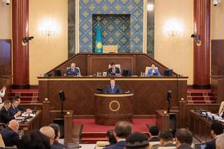 Итоги госаудита системы лекарственного обеспечения рассмотрены в Мажилисе РК