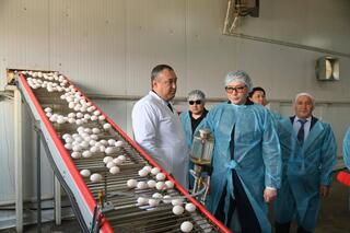 Арман Шаккалиев: В Шымкенте из цепочки поставок исключены 47 непродуктивных посредников