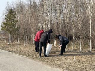 В ТУРКЕСТАНЕ ПРОХОДИТ ОБЩЕГОРОДСКОЙ СУББОТНИК