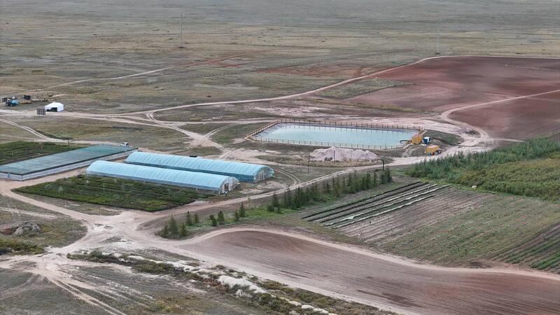 В Акмолинской области развивается производство отечественного посадочного материала