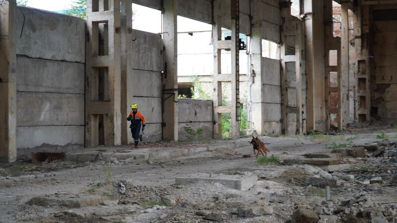 РКШУ «Жер-2025»: Практические тренировки в регионах