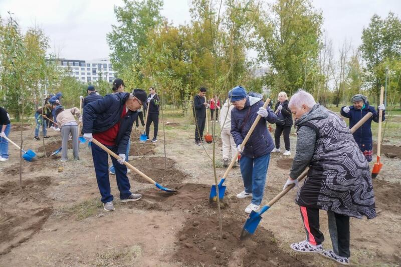 «Таза Қазақстан»: в столичном парке «Коктал» провели экоакцию по посадке деревьев