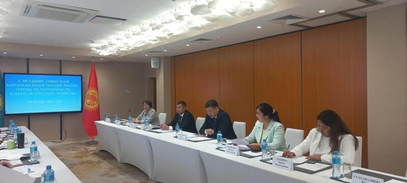 Казахстан и Кыргызстан активизируют приграничную торговлю агропродукцией