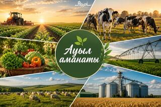 В области Абай в рамках программы «Ауыл аманаты» профинансировано 25 проекта