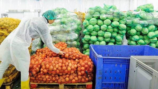 С начала года объем экспорта ВКО за рубеж составил 1,5 млрд долларов