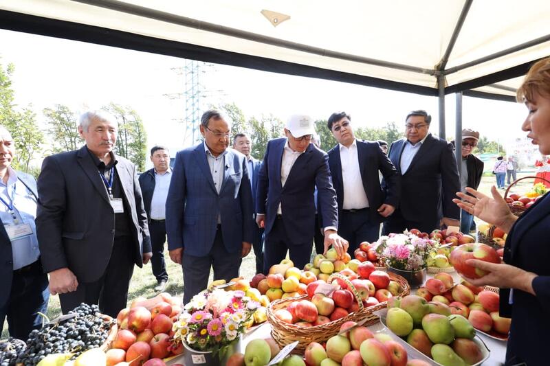 День сада «Garden Day - Aport» впервые прошел в Алматинской области