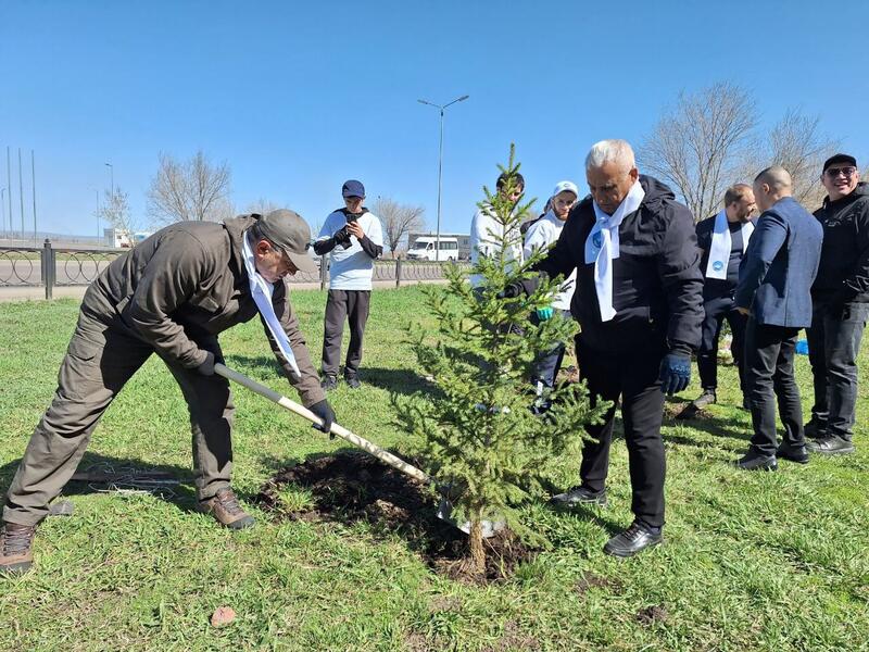 «Таза Қазақстан»: Члены АНК Карагандинской области приняли участие в озеленении города  
