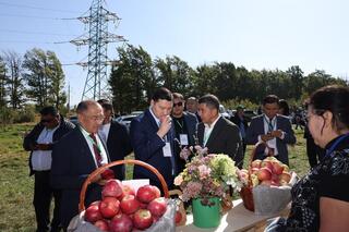Традиционный «День сада» в Талгаре: главный акцент — восстановление апорта