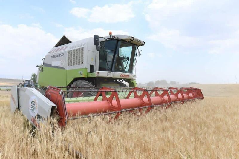 В ТУРКЕСТАНСКОЙ ОБЛАСТИ ЗА ТРИ ГОДА В РАМКАХ ПРОГРАММЫ «АУЫЛ АМАНАТЫ» ПРОФИНАНСИРОВАНО ОКОЛО 4000 ПРОЕКТОВ