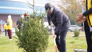 На востоке страны высадили саженцы в рамках акции «Таза Қазақстан»