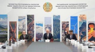 Новая конституция как основа экологической безопасности страны