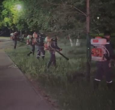 Второй тур дезинсекционных работ стартовал в Астане